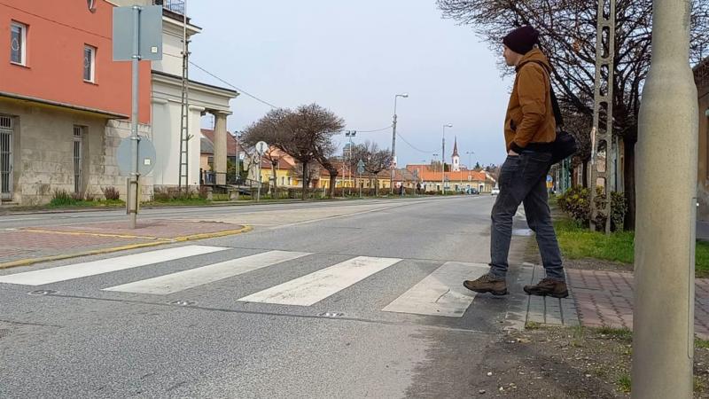 Kezdetét veszi a 2025-ös okoszebrák szavazása – itt van néhány város, ahol kifejezheted a véleményedet!